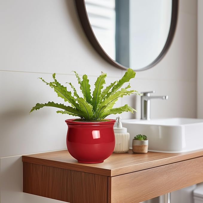 Ceramic Self Watering Planter, 6 Inch African Violet Pots with Absorbent Inner Pot, Round Self Watering Pots, Ceramic Flower Pot for Plants Indoor, Porch Decor, Plant Lover Gifts for Men, Red