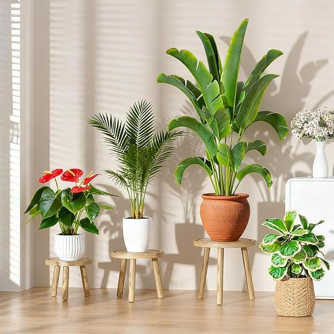 3 Pack Plant Stand Indoor Outdoor Mid-Century Modern Plant Stool Wooden Plant Pot Holder Home Decor for Gardening Living Room,Balcony,Office (Light Burnt Color, 3 Pack)