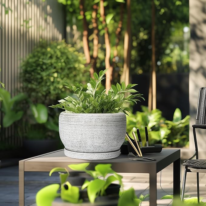 SQOWL Ceramic Flower Pots - 10 Inch Plant Pot Indoor with Drainage Hole and Saucer, Modern Ceramic Planter Outdoor, Decorative Large Round Planter, Bedroom Decor, Plant Lovers Gifts, Gray