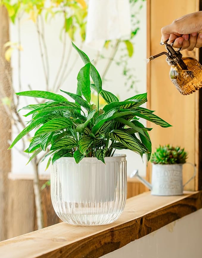 Melphoe Self Watering Pots for Indoor Plants Planter, 6.5 Inch 2 Pack Planters Self Watering Plant Pots for Flower, Houseplants, Succulent, African Violets and Cactus with Drainage