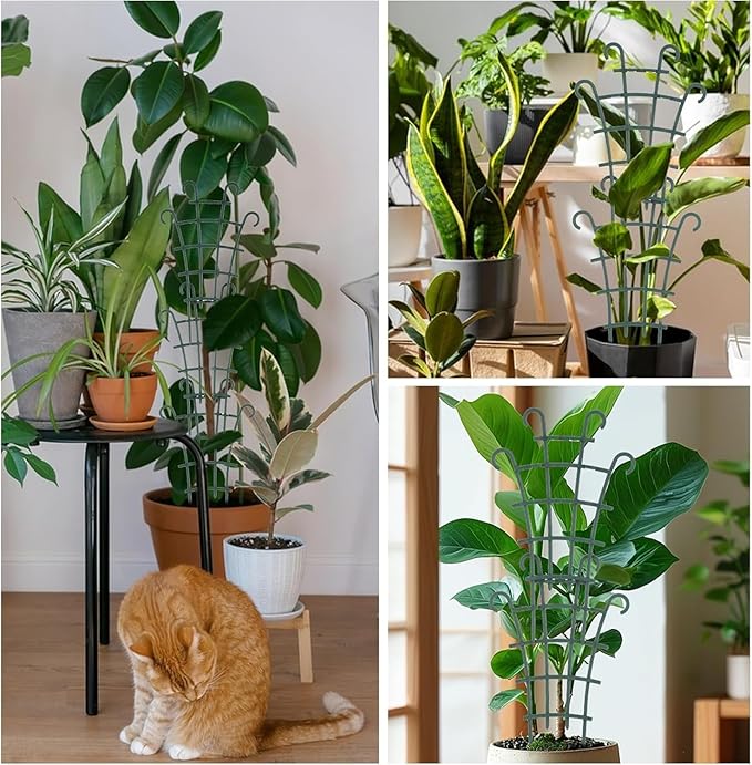 4 Pcs Small Trellis for Potted Plants Plant Trellis Indoor Trellis for Potted Plants Stackable Plastic Plant Support Houseplant for Climbing Indoor Monstera Pothos Ivy Plants Decor