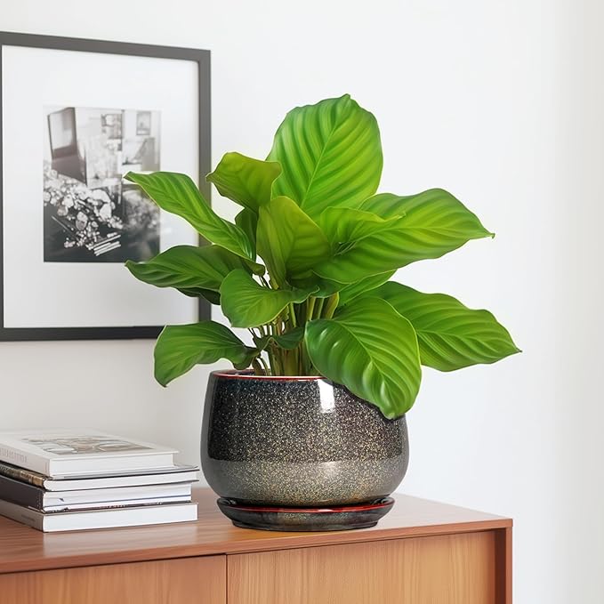 G EPGardening 7 Inch Ceramic Pots for Plants - Ceramic Planters for Indoor Outdoor Plants, Round Plant Pots with Drainage and Saucer, Modern Planter, House Decor, Plant Lover Gifts, Speckled Brown