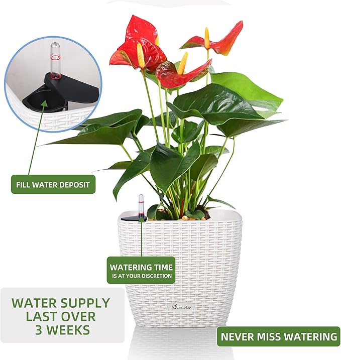 Dexceder 11x10 Self Watering Planter Indoor Outdoor, Inner Mat Design, Thickened Table Flower Plant Pot with Water Level Indicator (Ivory White Rattan)