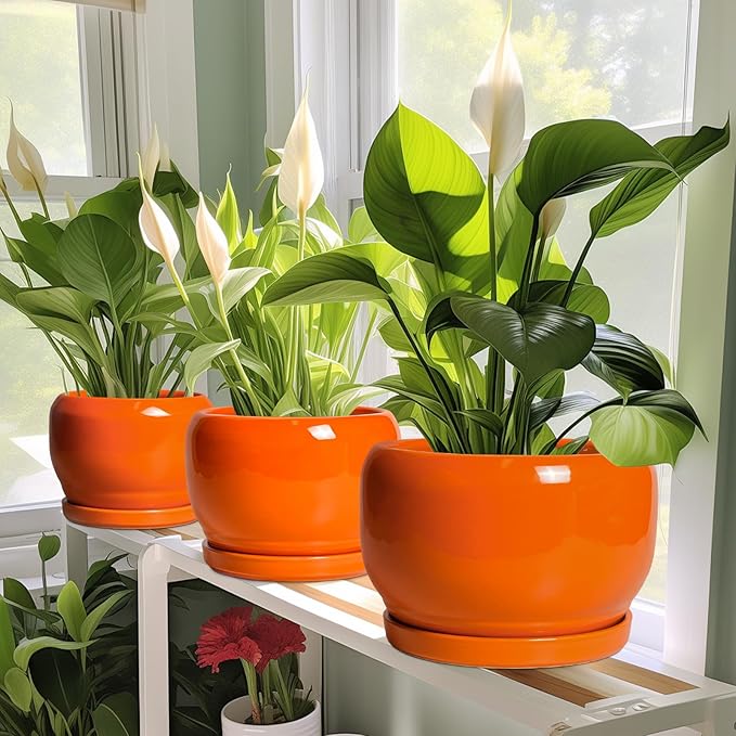 SQOWL Ceramic Pot for Plants - 8 Inch Plant Pot Indoor Outdoor, Modern Round Planter with Drainage Hole and Saucer, Decorative Planter for Flower, Office Decor, Garden Gifts for Women, Orange