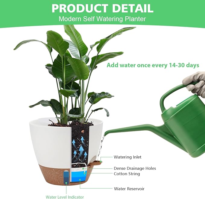 Self Watering Planter with Visual Water Level, 6Pack Small Plastic Pot Set with Drainage Holes and Reservoir Saucers, Modern 8+7+6.5+6+5.5+5 Inch Bottom Watering Flower Pots for Indoor Plant - White