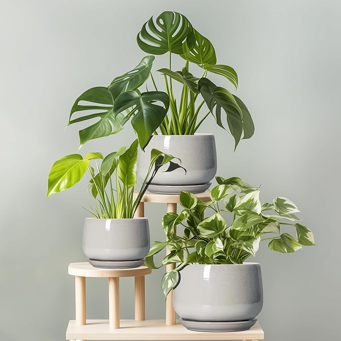 G EPGardening Ceramic Plant Pots - 9 Inch Ceramic Planters for Indoor Outdoor Plants, Modern Flower Pots with Drainage and Saucer, Round Planter, Garden Home Decor, Plant Lover Gifts, Light Grey