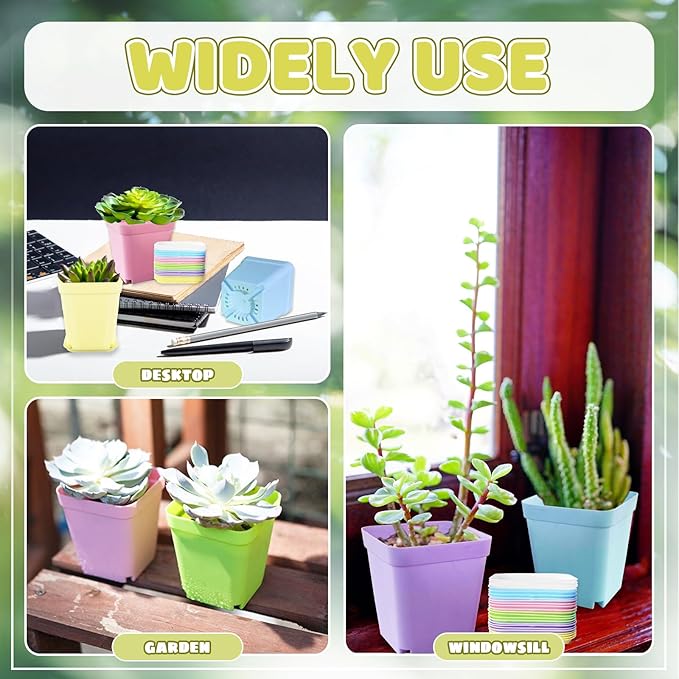 OJYUDD 24 Pack Multi Color Plastic Plant Pot,Colorful Plastic Square Pots,Mini Plastic Square Planters for Indoor Outdoor Plants Flowers,Garden,Office,Home Decor,with Pallet