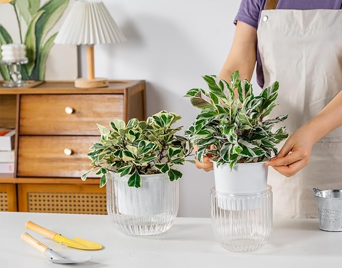 Melphoe Self Watering Pots for Indoor Plants Planter, 6.5/5.3 Inch 2 Pack Planters Self Watering Plant Pots for Flower, Houseplants, Succulent, African Violets and Cactus with Drainage