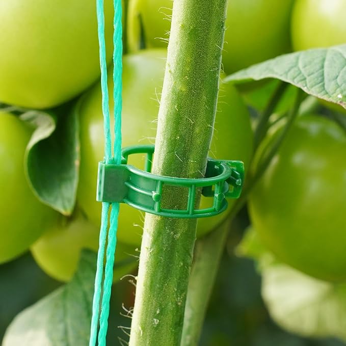 200 Pcs Plant Support Clips,Plastic Clips for Securing Plants,Tomato Vine Clips,Plant Fixing Clips,Garden Clips for Climbing Plants,Grape and Vine Vegetables (200, Green)