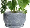 SQOWL Ceramic Pot for Plants - 10 Inch Plant Pot Indoor with Drainage Hole and Saucer, Round Ceramic Planter, Decorative Large Flower Pot Outdoor, Home Office Room Decor, Garden Gifts, Gray