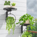 iDavosic.ly Wall Plant Holder Set of 2 for Outdoor with Drain Hole, Metal Hanger with 2 Hooks, Floating Flower Display Stand for Window, Space Saving & Easy to Assemble (Pots/Plants Not Included)