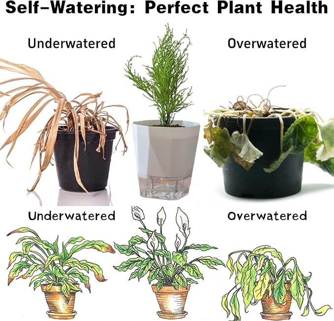 3 Packs Self Watering Plant Pots, Plastic Flower Pots with Drainage Hole and Saucer, Self Watering Planters for Indoor Outdoor Garden Plants, African Violet, Herbs (White, 6.7")