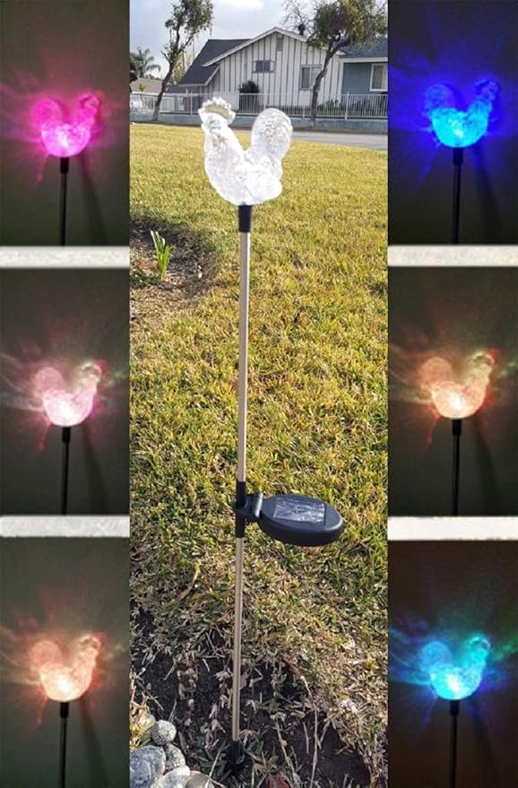 Solar Garden Stake Lights with Color Changing LED or Regular White LED Landscape Path Lights (Set of 2) (Rooster)