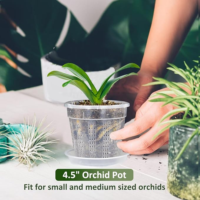 Orchid Pot with Saucers, 6 Packs of 4.3" Orchid Pots with Holes, Orchid Pots for Repotting, Plastic Orchid Planter for Indoor Outdoor Plants (6 Packs, 4.3" with Saucers)