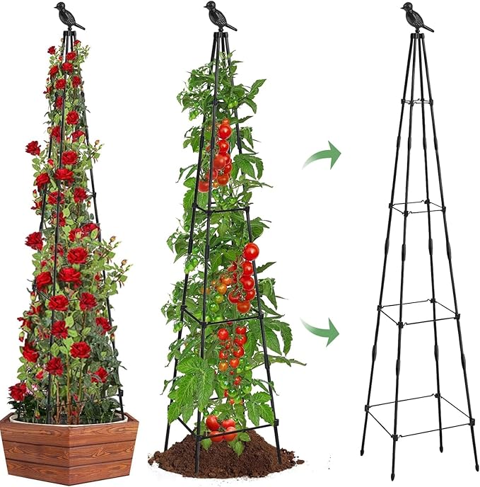 2Pack Garden Trellis for Climbing Plants Outdoor Indoor Pot 67'' Cucumber Trellis for Climbing Plant Support for Climbing Vegetables Plants Garden Obelisk Trellis Tomato cage & Climbing Rose