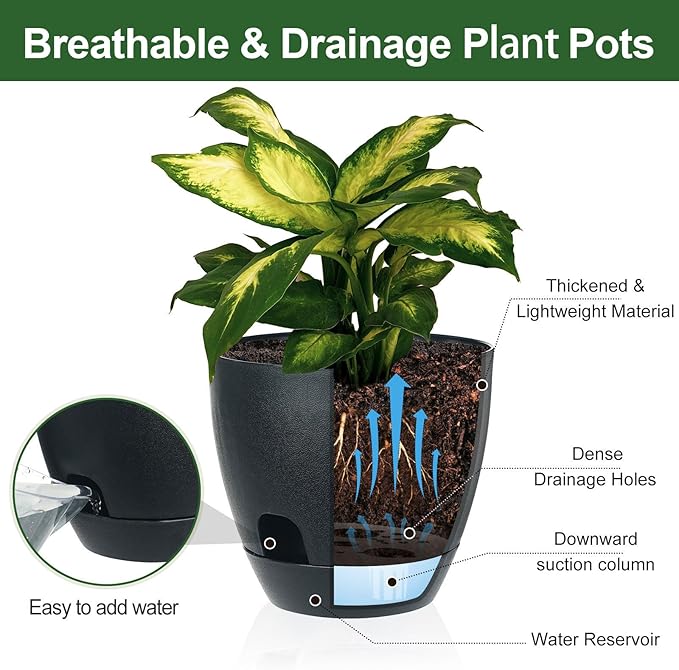 Self Watering Pots Set, 5 Pack 6 Inch Self Watering Pots for Indoor Outdoor Plants, Plastic Planter with Drainage Holes and Deep Reservoir for African Violet, Spider, Orchid