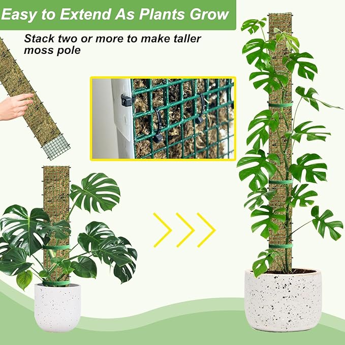 60"/40"/24" Metal Moss Pole, D Shape Sphagnum Moss Pole, Moss Poles for Climbing Plants, Monstera, Indoor Climbing Plants(4Pcs 40")