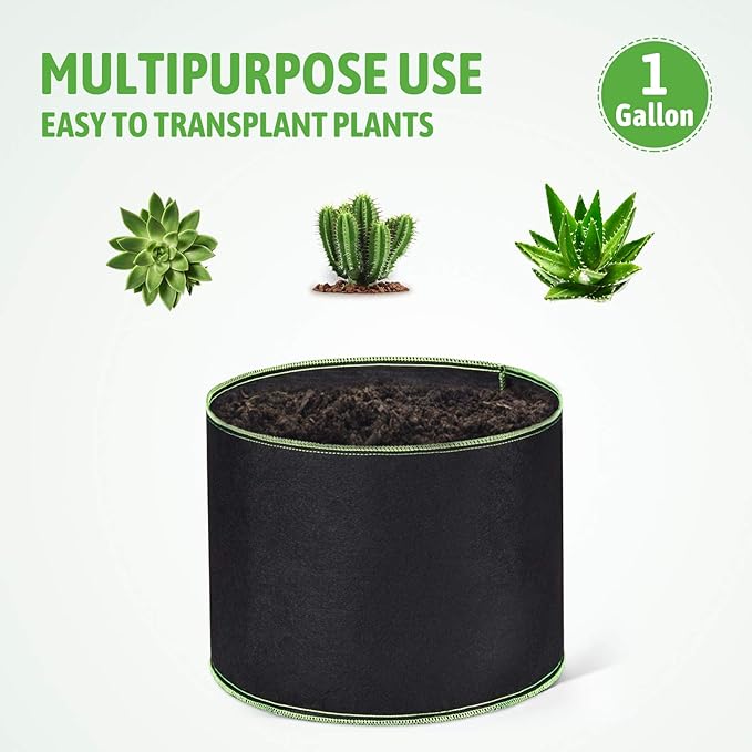 Delxo Garden Grow Bags 1 Gallon 10 Pack Plant Growing Bags Small Fabric Pots for Planting, Vegetable