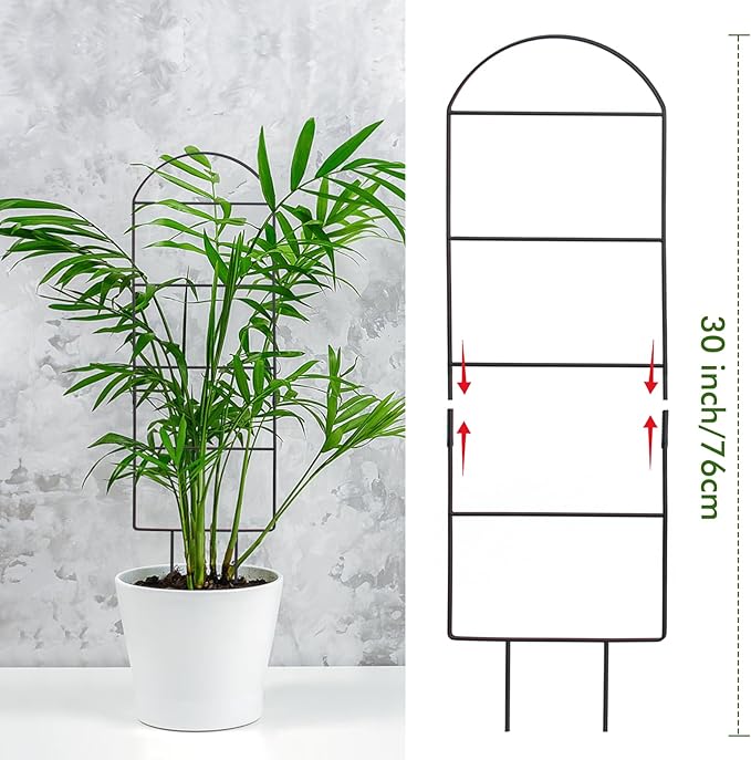 ZOUTOG Trellis for Climbing Plants Indoor 4 Pack 30 Inch,Rustproof Metal Garden Trellis for Potted Plants,Houseplant Support Indoor Outdoor for Ivy Pothos Monstera Hoya Flower Vines(House Shape)