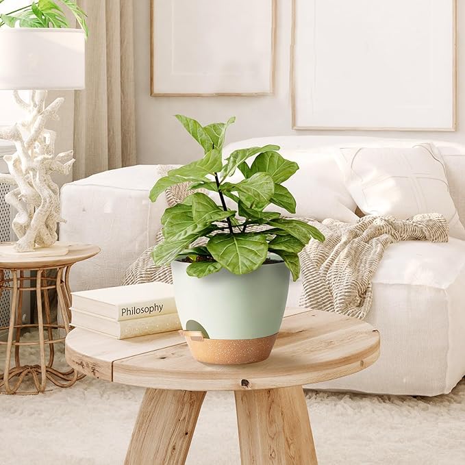 Self Watering Planter Pots Set of 5 - Green Plastic Indoor Pots with Drainage Holes, Saucers and Reservoir for Home Decor, Office Desk, Windowsill, Shelf (Gift Idea)