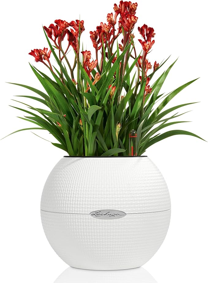 Lechuza Puro Color 20 White, Self-Watering Small Indoor Planter, D7.9 H6.3 in