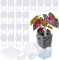 LemonRoad 20 Pack 2" Small Self Watering Pots for Indoor Plants with 20 Plant Label Mini Clear Plastic Planters with Water Level and Drainage Holes for Propagation, Succulents, and African Violet