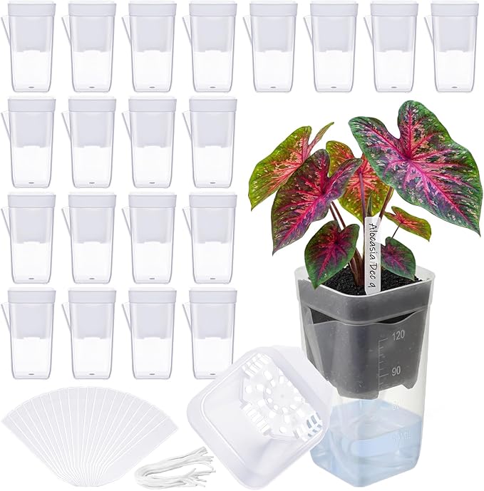 LemonRoad 20 Pack 2" Small Self Watering Pots for Indoor Plants with 20 Plant Label Mini Clear Plastic Planters with Water Level and Drainage Holes for Propagation, Succulents, and African Violet
