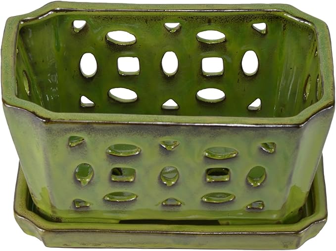 W&W Orchid Pot with Holes and Saucer for Repotting, YellowGreen, 9.7 Inch