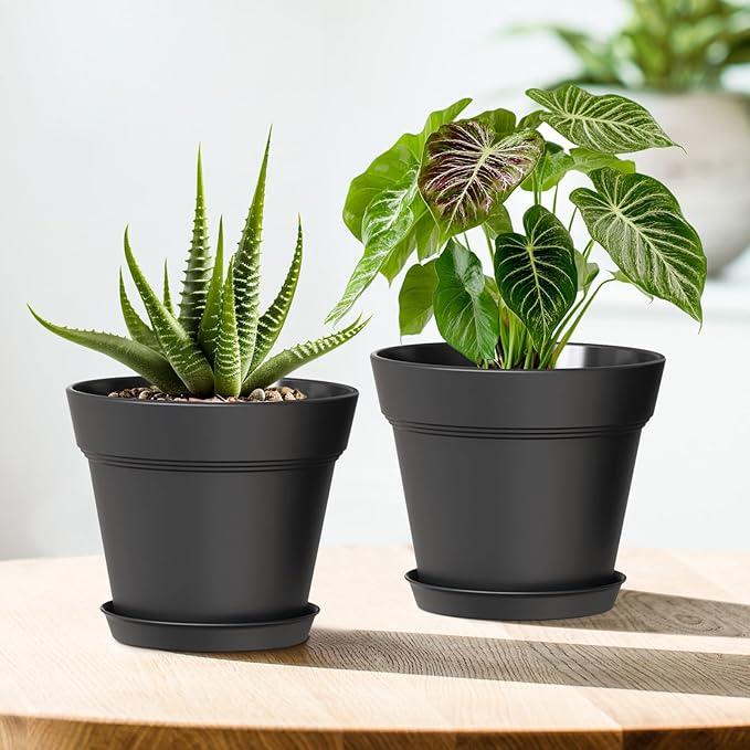 7 Inch Thick Plastic Plant Pots with Drainage Holes and Trays – 6 Pack Nursery Pots for Indoor & Outdoor House Plants, Seedling Starter Planters for Garden Flowers, Matte Black