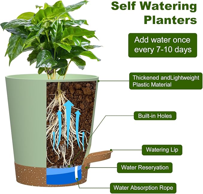 Self Watering Pots, 4 inch Flower Pots with Multi Mesh Drainage Holes, Small Platic Planters for Indoor Outdoor Garden Plants and Flowers (Green with Brown Tray, 4")