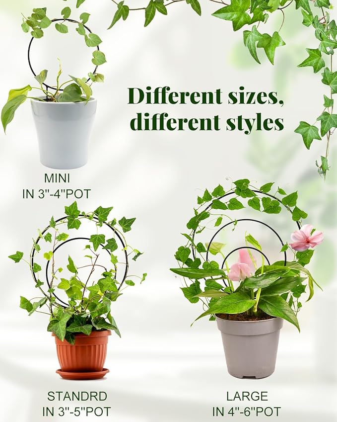 3 Pcs Unique Round Hoya Garden Trellis, Different Small Houseplant Trellis for Climbing Plant Indoor Outdoor, Garden Trellis Plant Support for Potted Ivy and Flowers (Black)