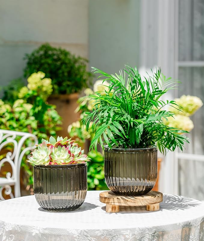 Melphoe Self Watering Pots for Indoor Plants Planter, 6.5 Inch 2 Pack Planters Self Watering Plant Pots for Flower, Houseplants, Succulent, African Violets and Cactus with Drainage
