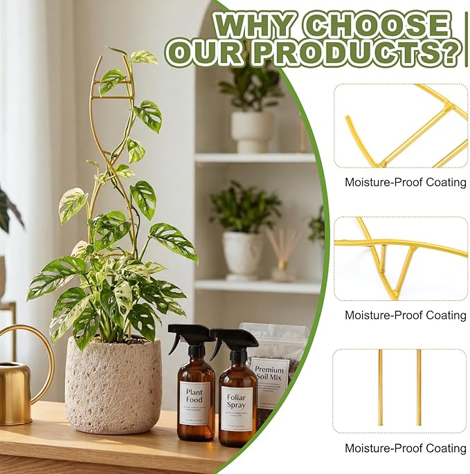 3 Pcs 15.75 Inch Indoor Plant Trellis for Potted Plants Small Climbing Plant Trellis for Pots with Unique DNA Spiral Design for Vine Plants, Easy Installation for Indoor Outdoor Use