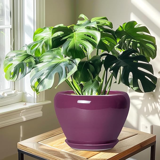 10 Inch Plant Pot - Ceramic Planter with Drainage Hole and Saucer, Round Modern Flower Pot for Indoor Outdoor Plants, Housewarming Gift, Home Garden Decor, Purple