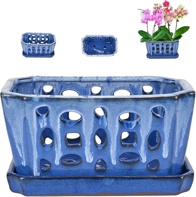 W&W Orchid Pot with Holes and Saucer for Repotting, White and Blue, 9.7 Inch