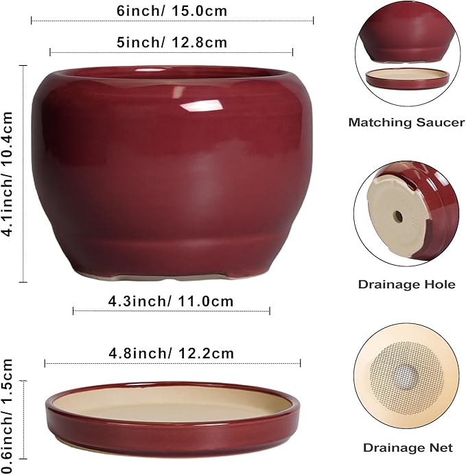 SQOWL 6 Inch Plant Pot - Ceramic Planter for Indoor Plants Outdoor, Round Planter with Drainage Hole and Saucer, Decorative Modern Small Flower Pots, Room Decor, Gifts for Plant Lovers, Red