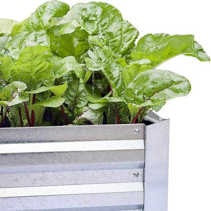 Galvanized Raised Garden Beds for Vegetables Large Metal Planter Box Steel Kit Flower Herb (6 x 3 x 1 ft * 2 Pack, Galvanized)