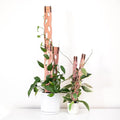 Treleaf Zella Grande Extension Kit - Wooden Extendable Plant Trellis for Indoor Climbing Houseplants - Modular Plant Support