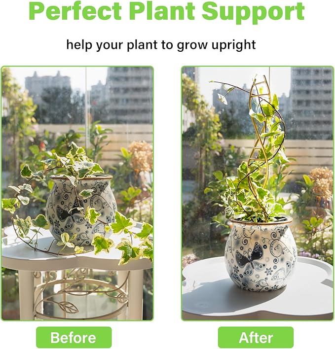 3PCS DNA Plant Trellis Indoor and Outdoor - Lightweight Metal Trellis for Potted Plants, Hoya & Pothos Climbing Support, Artistic Geometric Design, Durable & Easy Installation