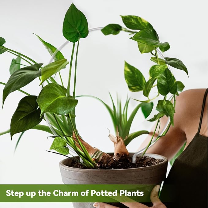 2 Pack Round Plant Trellis for Potted Plants Indoor Outdoor, Acrylic Small Trellis for Climbing Plants, Plant Support for Hoya Pothos Vine Ivy Monstera Flower Philodendrons Dischidia