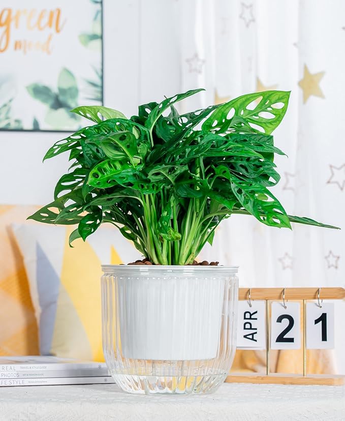 Melphoe 1 Pack Self Watering Hanging Planters Indoor Flower Pots, 8.3 Inch Outdoor Hanging Plant Pot Basket, Plant Hanger with 3Hooks Drainage Holes for Garden Home