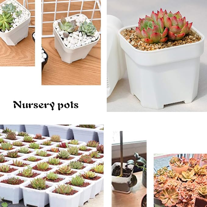 24 Pack 3 Inch White Square Plastic Plant Pots with Saucers,Nursery Seedling Pots with Drainage Hole,Small Planter Containers for Succulents,Flowers,Indoor Outdoor Garden,Home Office Balcony Decor