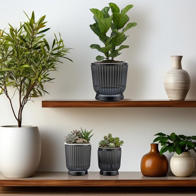 Set of 6 Self Watering Plant Pot 3 Sizes Plastic Double Layer Self Watering Flower Pot with Multi Mesh Drainage Holes Wicking Reservoir for Indoor Outdoor Garden Plants(Black)
