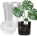30 Packs 1 Gallon Reinforced Clear Nursery Pots with Drainage Holes, 7 Inch Transparent Plastic Plant Pot Seedling Planter for Vegetable Propagation, Root Cutting, Seed Starting