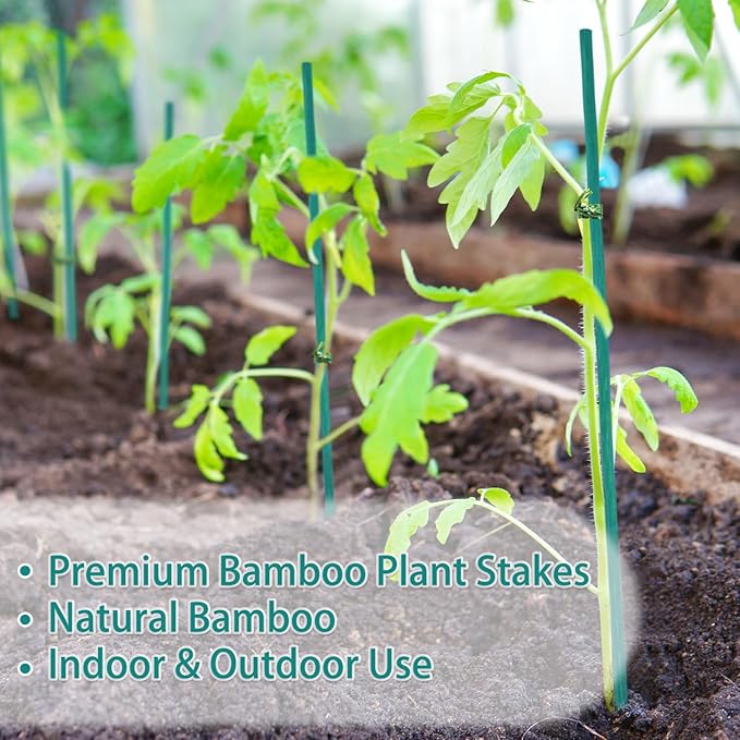 Bamboo Plant Stakes 50PCS, 18Inch Natural Bamboo Garden Stakes, Supports Indoor & Outdoor Plants, Straight Style, Green