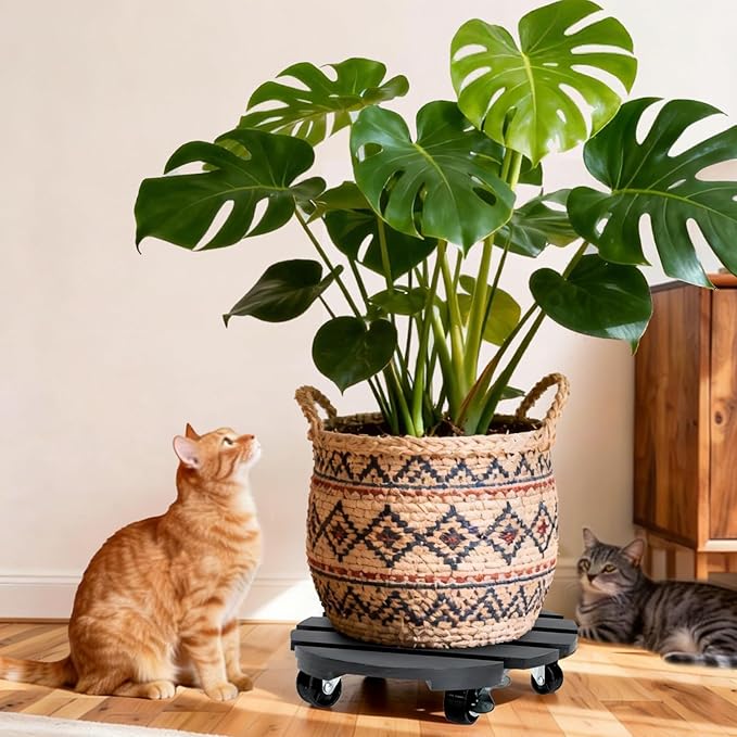 2 Pack Plant Stand with Wheels, Plant Caddies with 360° Lockable Smooth Sliding Wheels Durable Sturdy, Outdoor/Indoor Heavy Duty Rolling Plant Stand for Plant Pot,Flower Pot (11" Black)
