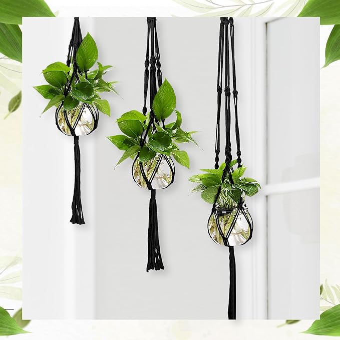 6 Pcs Plastic Plant Propagation with Boho Macrame Hanger Wall Plant Propagation Station Hanging Holder Include Hooks Kit for Indoor Home Garden Office Decor 3 Size (Black)
