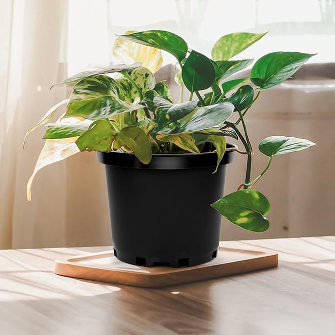 GREANER 2 Gallon Nursery Pots for Plants, 10 PCS Plastic Plant Pot with Drainage Holes for Indoor Outdoor, Garden, Greenhouse(Black)
