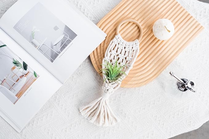 Melphoe 4 Pack Air Plants Holders Stand Air Fern Macrame Plant Hanger Indoor Hanging Planter Basket for Tillandsias Display, Boho Home Decoration Gift Idea