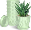 6 Pack 6 Inch Indoor Plant Pots with Drainage Holes, Outdoor Plastic Decorative Flower Pots, Garden Planters with Tray Saucers for Orchids, Violets, Succulents, Herbs, and Other Plants
